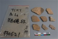 藏品(陶片)的圖片