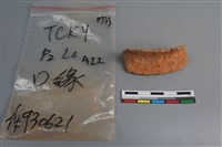 藏品(陶片)的圖片