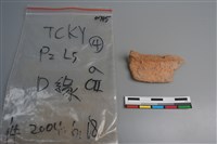 藏品(陶片)的圖片