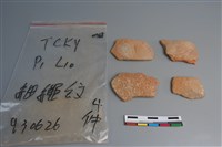 藏品(陶片)的圖片