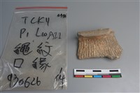 藏品(陶片)的圖片