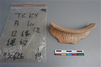 藏品(陶片)的圖片