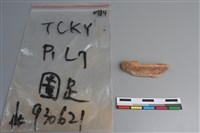 藏品(陶片)的圖片