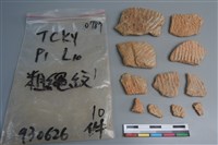 藏品(陶片)的圖片