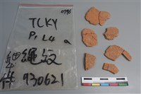 藏品(陶片)的圖片