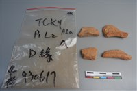 藏品(陶片)的圖片