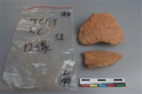 藏品(陶片)的圖片