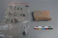 藏品(陶片)的圖片