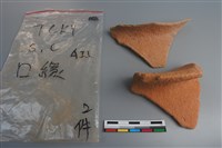 藏品(陶片)的圖片