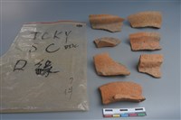 藏品(陶片)的圖片