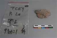 藏品(陶片)的圖片