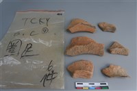 藏品(陶片)的圖片