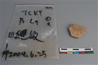 藏品(陶片)的圖片