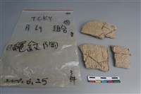 藏品(陶片)的圖片