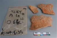 藏品(陶片)的圖片