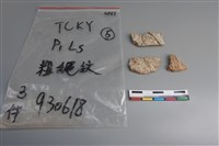 藏品(陶片)的圖片