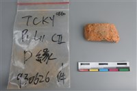 藏品(陶片)的圖片