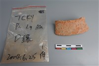 藏品(陶片)的圖片