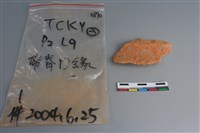 藏品(陶片)的圖片