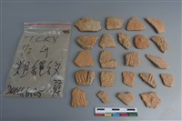 藏品(陶片)的圖片