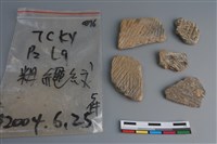 藏品(陶片)的圖片