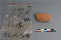 藏品(陶片)的圖片