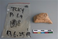 藏品(陶片)的圖片