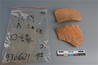 藏品(陶片)的圖片