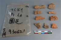 藏品(陶片)的圖片