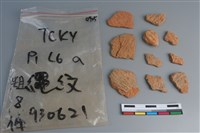 藏品(陶片)的圖片