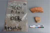 藏品(陶片)的圖片