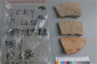 藏品(陶片)的圖片