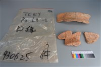 藏品(陶片)的圖片