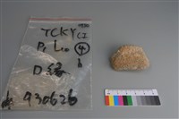 藏品(陶片)的圖片