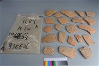 藏品(陶片)的圖片