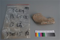 藏品(陶片)的圖片