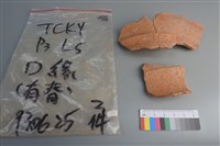 藏品(陶片)的圖片