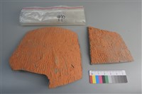 藏品(陶片)的圖片