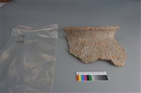 藏品(陶片)的圖片