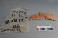 藏品(陶片)的圖片