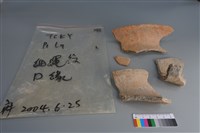 藏品(陶片)的圖片