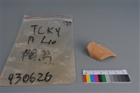 藏品(陶片)的圖片