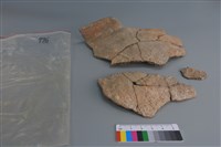 藏品(陶片)的圖片