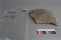 藏品(陶片)的圖片