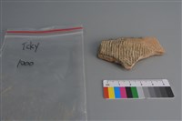 藏品(陶片)的圖片