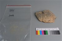 藏品(陶片)的圖片