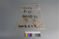 藏品(陶片)的圖片