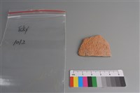 藏品(陶片)的圖片
