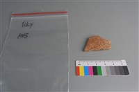 藏品(陶片)的圖片