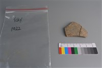 藏品(陶片)的圖片